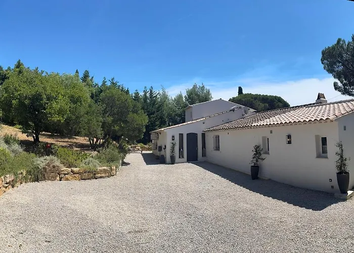 فيلة Petit Paradis - Gigaro