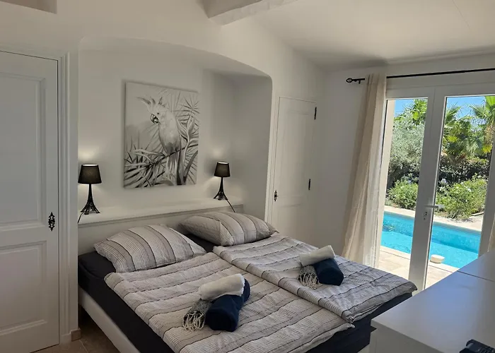 Petit Paradis - Gigaro *